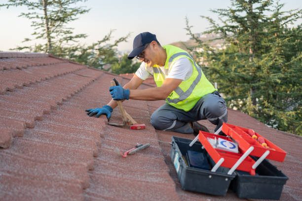 Best Metal Roofing Contractor  in China Grove, NC